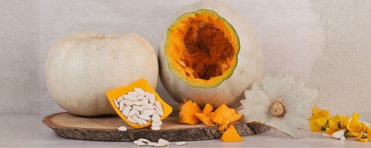 Are Pumpkin Seeds Healthy? Benefits, Protein, and Uses