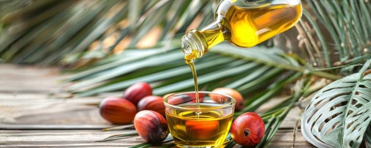 Palmolein Oil vs. Palm Oil: Pros, Cons, Uses, and Health Effects Explained
